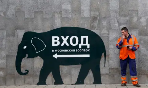 Московските музеи и зоологическата градина с жест към пострадалите от атентата - 1