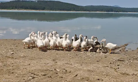 Половин милион души може да останат без вода през август - 1