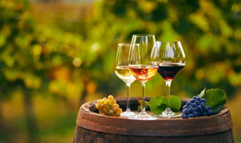 Експерти алармират: Популярни вина в Европа могат да изчезнат заради климачните промени - 1