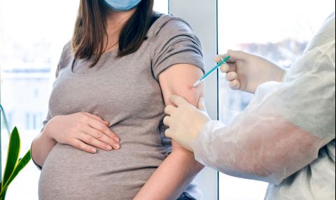 Ваксините са безопасни за бременни - 1