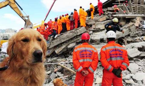 Астролози: Конфликти и природни бедствия в Годината на Кучето - 1