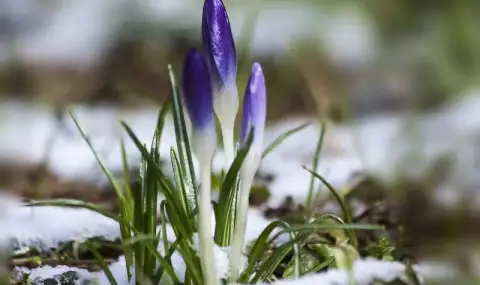 Weather today, forecast for Wednesday, February 26: Cloudy over Western Bulgaria, sunny over Eastern  - 1