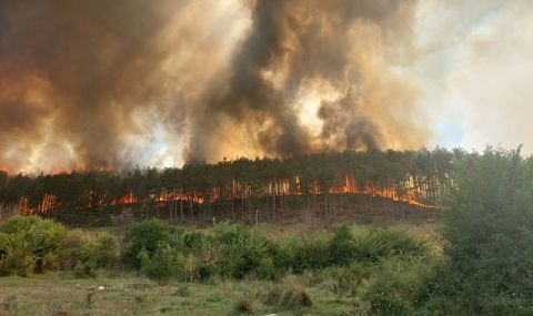 Сезонът на жегата! 170 пожара са ликвидирани на територията на страната през последното денонощие - 1