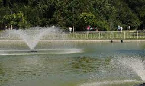 Слънчева неделя - 1