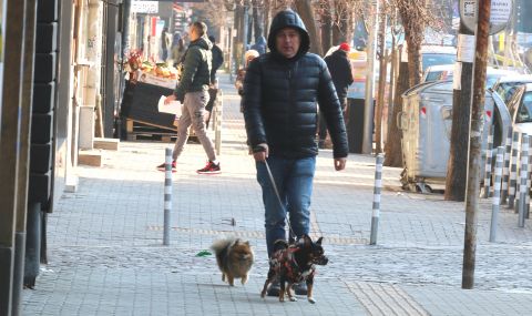 Слънчева събота - 1