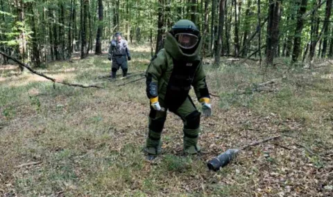 53 невзривени боеприпаса и 1070 кг метални отломки са открити в района на ЕМКО след експлозията в завода край Трявна - 1