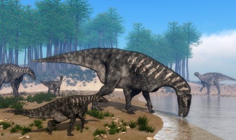 Откриха динозавър, смятан за последния от вида си (СНИМКА) - 1