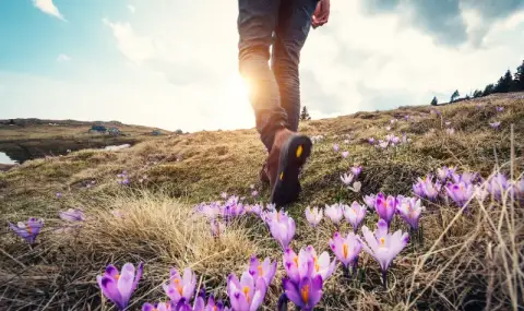 Времето днес, прогноза за събота, 14 март: Остава слънчево. Ще духа слаб до умерен вятър от изток-североизток