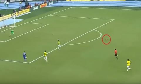 Куче се включи в атаката на Бразилия (ВИДЕО) - 1