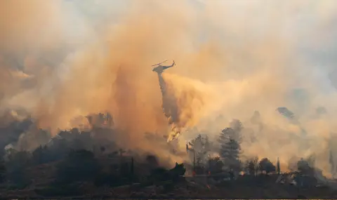 Пожарите на остров Хиос отслабват, но щетите остават сериозни - 1