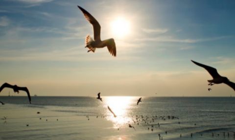 Слънчева събота, валежи и гръмотевици на запад - 1