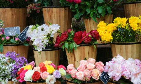 Не купувайте цветя от нерегламентирани търговци! - 1