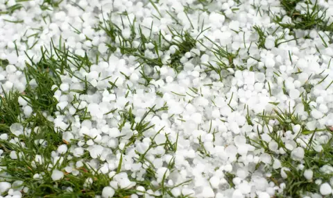 След градушката: Паднали дървета, материални щети и села без ток в Хасковско - 1