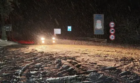 Снежен ад на магистрала "Тракия", седем автомобила и почистващ трактор се сблъскаха на Превала - 1