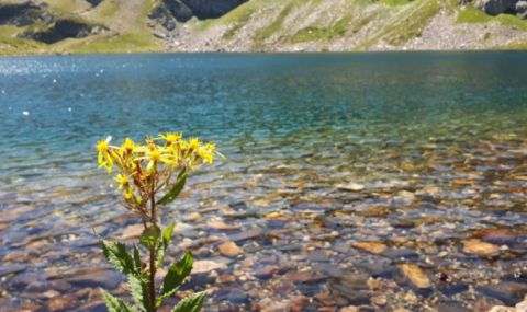 Времето днес, прогноза за четвъртък, 24 август: Слънчево, дъжд и гръмотевици в планините и на изток - 1