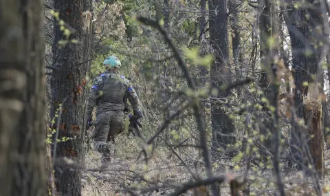 Русия: Руските войски завладяха град Новогродовка в Донецка област - 1