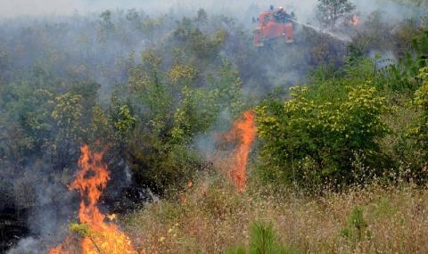Пожарите в Хасковско и Ямболско продължават да бушуват - 1