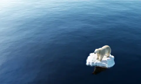 Арктика е заплашена от първите си дни без лед съвсем скоро - 1