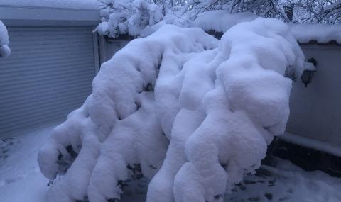 До -13 градуса в неделя - 1