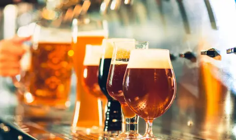 Рекордни инвестиции в производството на пиво и малц в България през 2025 година