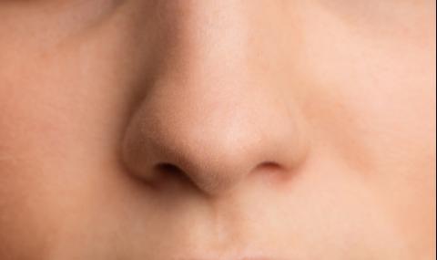 Студеният нос е признак за умствено претоварване - 1