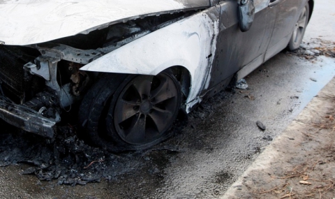 3 коли изгоряха в село край Сандански - 1