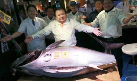 Продадоха риба тон за над половин милион долара - 1