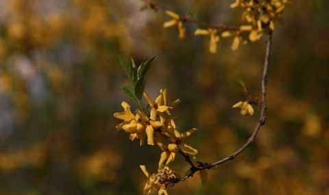 Затопля се, вятърът утихва - 1