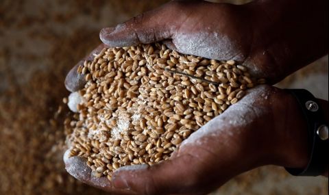 На какво са готови САЩ, за да се избегне гладът - 1