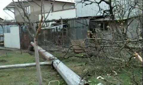 ТИР се заби в двора на къща в Долни Богров, отнесе електрически стълб  - 1