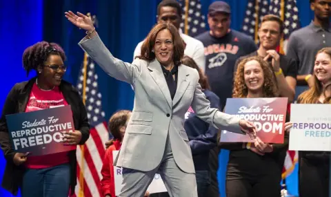 Swiftita for Kamala - a group of Taylor Swift fans joins the campaign in support of Kamala Harris  - 1