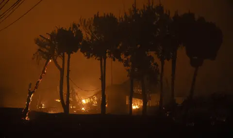 В Чили въведоха извънредно положение заради горските пожари  - 1