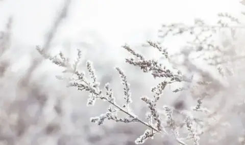 Времето днес, прогноза за сряда, 24 декември: Валежи от дъжд обхващат страната от запад, сняг в планините