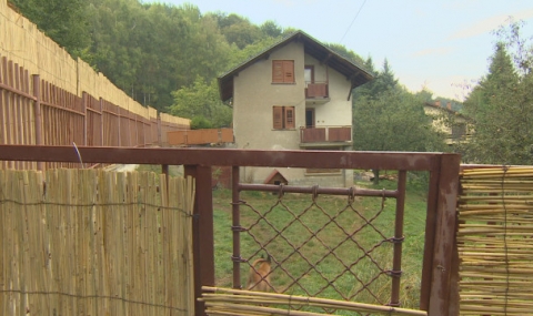 Десетки кучета тормозят жителите на софийско село - 1