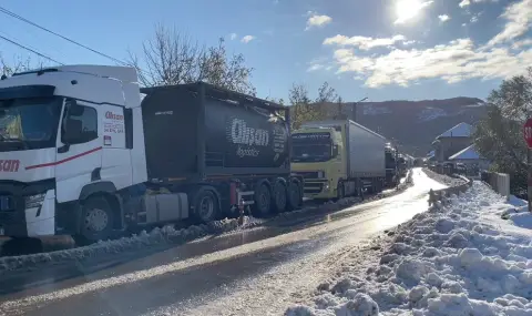 Опашка от камиони с дължина 15 км чака в Турция да влезе в България през ГКПП Лесово - 1