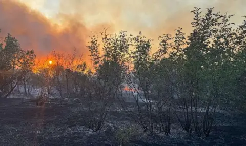 Пожарът в Сакар вече е обхванал около 5000 декара - 1