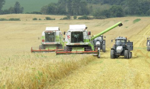 НАП: Наблюдаваме износа на зърнени и житни култури - 1