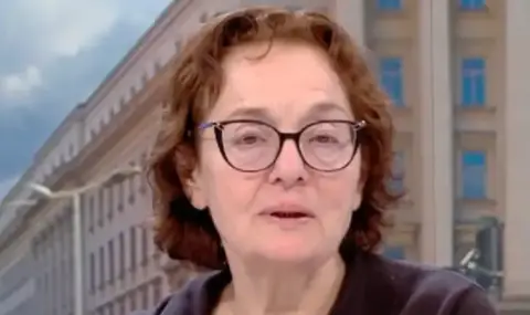 Проф. Румяна Коларова: ПП нямат поглед напред. Те са движени от обстоятелствата