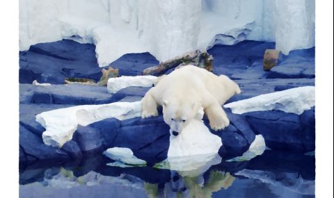 Нови открития свързват Арктика и глобалното затопляне - 1