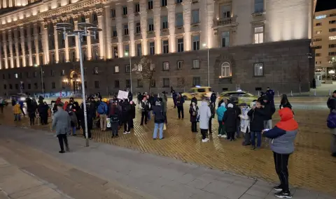 Протести в защита на лева в няколко града у нас