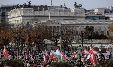 Огромен протест в Австрия - 1