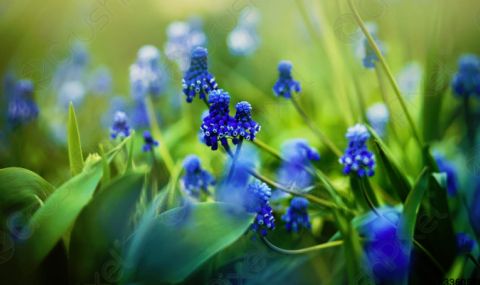 Облачна неделя - 1