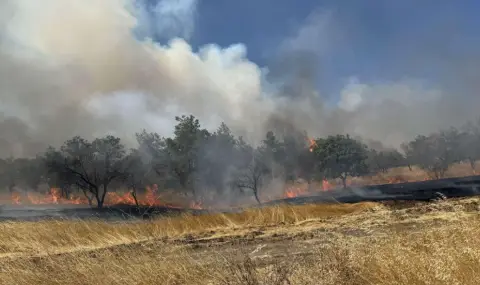 Фонд "Земеделие" одобрява средствата за пострадалите от пожарите стопани  - 1