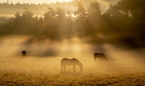 Времето днес, прогноза за вторник, 7 ноември: Слънчево и топло за сезона, ще духа южен вятър - 1