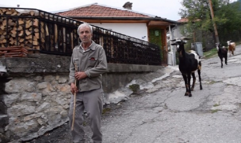 Нападнатият от мечка все още не може да повярва, че е жив - 1