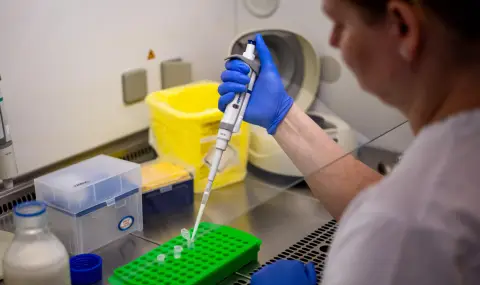 Откриха нов опасен вирус - 1