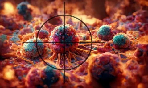 Антибиотици водят имунната система до раковите клетки - 1