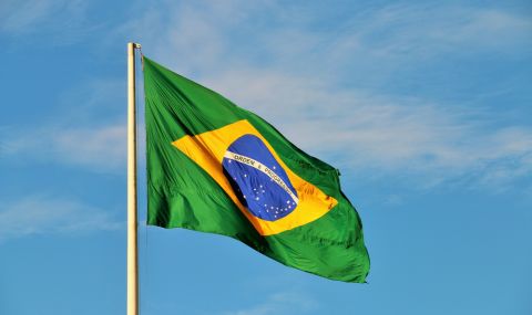 Бразилия може да измести САЩ като най-голям износител на царевица - 1