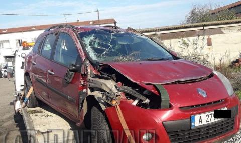 Кола удари глиган на магистралата, оцелялата по чудо шофьорка получи акт - 1