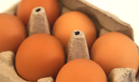 US asks Europe for eggs  - 1